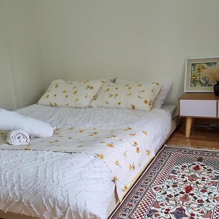 Cozy Central House ハイフォン エクステリア 写真