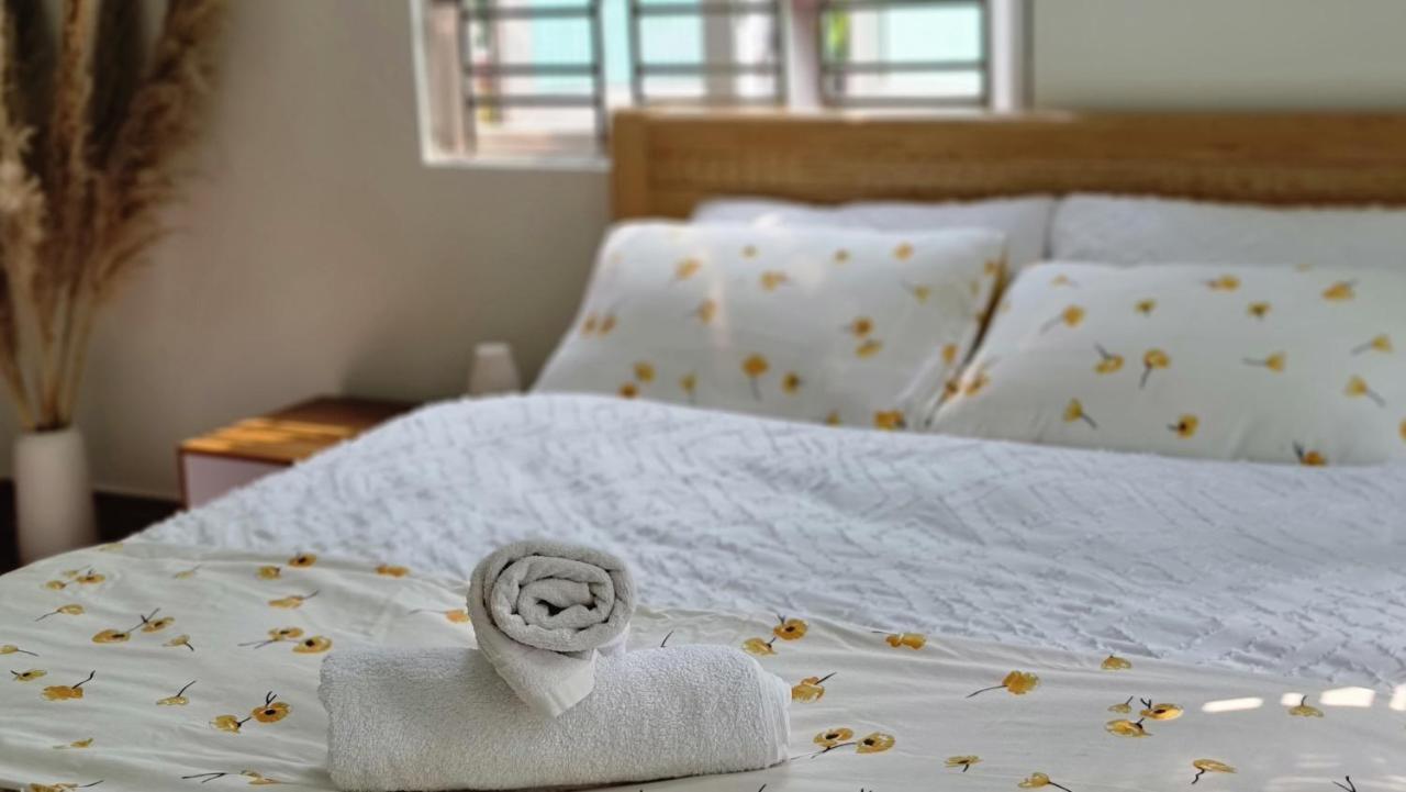 Cozy Central House ハイフォン エクステリア 写真